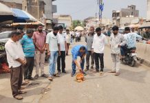 शिंदखेड्यात अरुण देसले ची गांधीगिरी पार्ट- नऊ 👉रस्ता की खड्डा भरले आखाजीच्या दिवशी खड्ड्यात डेरगं 👉 शिंदखेडा सार्वजनिक बांधकाम खात्याचे रस्त्याकडे दुर्लक्ष