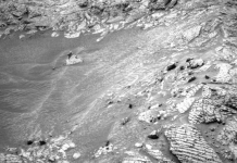 प्रवेश नाकारला