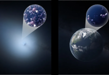 प्रवेश नाकारला